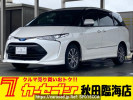 Toyota Estima Hybrid AHR20W