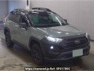 Toyota RAV4 MXAA54