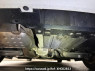 Used 2010 AT bmw 3-series PG20 Image[43]
