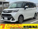 Toyota TANK M910A