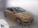 Mercedes Benz A-Class 176042