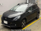 Peugeot 2008 A94HN01