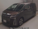 Toyota Alphard AGH30W