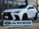 Lexus NX AAZH20