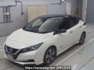 Nissan Leaf ZE1