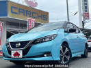 Nissan Leaf ZAA-ZE1