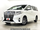 Toyota Alphard Hybrid DAA-AYH30W