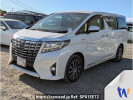 Toyota Alphard Hybrid AYH30W