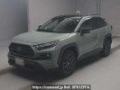 Toyota RAV4 AXAH54
