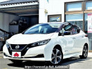 Nissan Leaf ZAA-ZE1