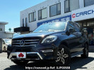 Mercedes Benz M-Class LDA-166024