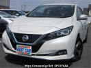 Nissan Leaf ZE1