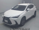 Lexus NX AAZH25