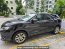 Nissan Qashqai others