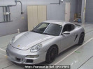 Porsche Cayman 98721