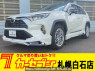 Used 2019 AT toyota rav4 MXAA54 Image[0]