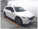 Mazda CX-8 KG2P