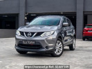 Nissan Qashqai others