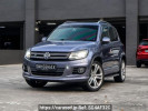 Volkswagen Tiguan others