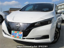 Nissan Leaf ZE1