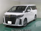 Toyota Alphard AGH30W