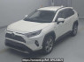 Used 2019 AT toyota rav4 AXAH54 Image[0]