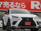 Lexus NX AGZ10