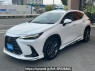 Used 2022 AT lexus nx AAZH20 Image[0]