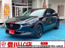 Used 2022 MT mazda cx-30 DMEP Image[0]