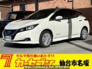 Nissan Leaf ZE1