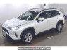 Used 2019 AT toyota rav4 MXAA52 Image[2]