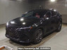 Used 2023 AT lexus nx AAZH20 Image[0]