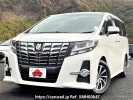 Toyota Alphard DBA-AGH30W