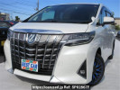 Toyota Alphard Hybrid AYH30W