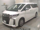 Toyota Alphard Hybrid AYH30W
