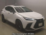 Used 2024 AT lexus nx AAZH20 Image[2]
