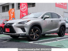 Lexus NX AYZ10