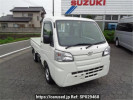 Daihatsu Hijet Truck S510P