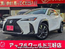 Lexus UX MZAH10