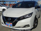 Nissan Leaf ZE1