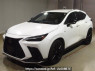 Used 2023 AT lexus nx AAZH20 Image[0]