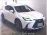 Used 2022 AT lexus nx AAZH25 Image[0]
