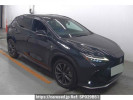 Lexus NX AAZH20