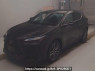 Used 2023 AT lexus nx AAZH20 Image[0]