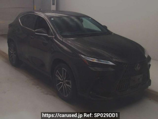 Used 2023 AT lexus nx AAZH20 Image[2]