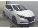 Nissan Leaf ZE1