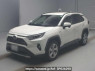 Used 2019 AT toyota rav4 AXAH54 Image[0]