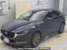 Used 2019 AT mazda cx-30 DMFP Image[0]