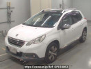 Peugeot 2008 A94HM01