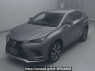 Used 2018 AT lexus nx AGZ15 Image[0]